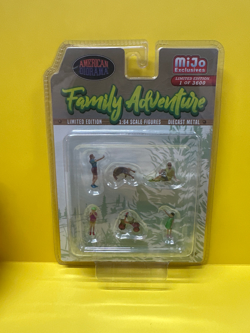 Family adventure