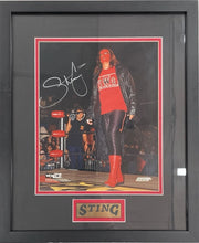 Load image into Gallery viewer, Sting - Officially Signed Promotional WCW Photograph
