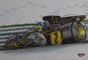 Cartoon Formula 1 John Player Ronnie Peterson No 2 A3 Poster